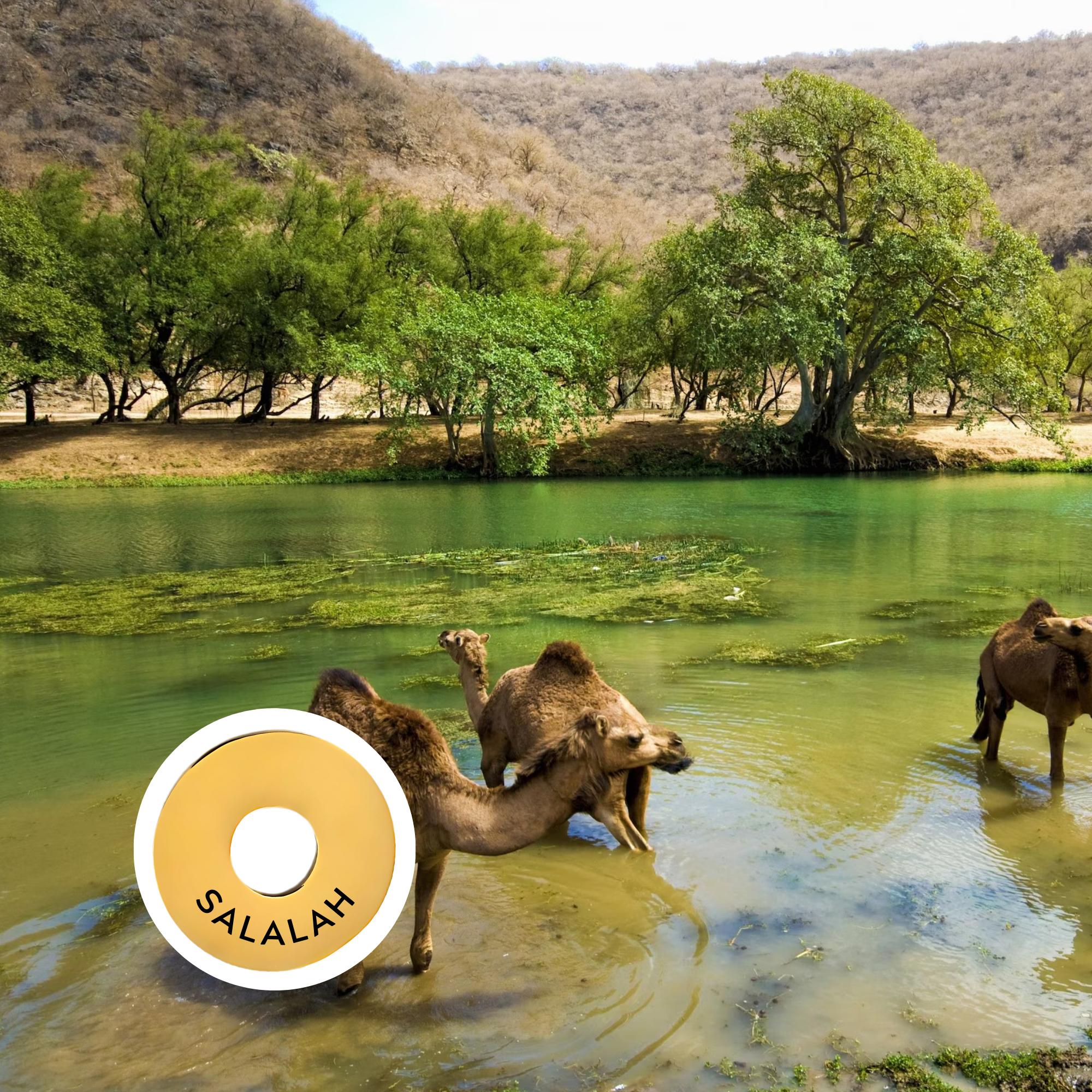 Salalah
