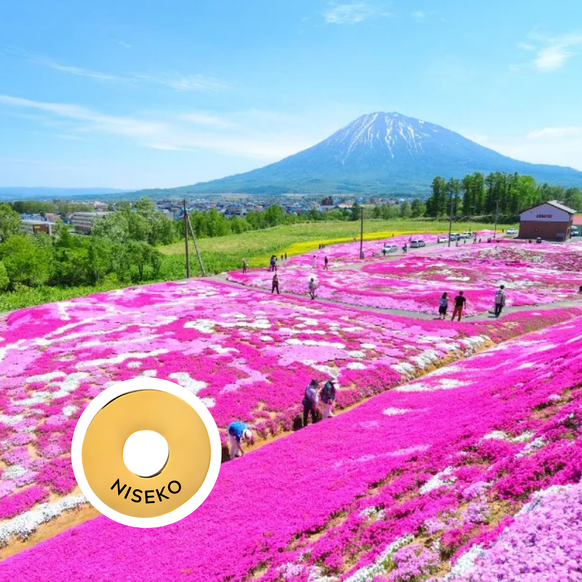 Niseko