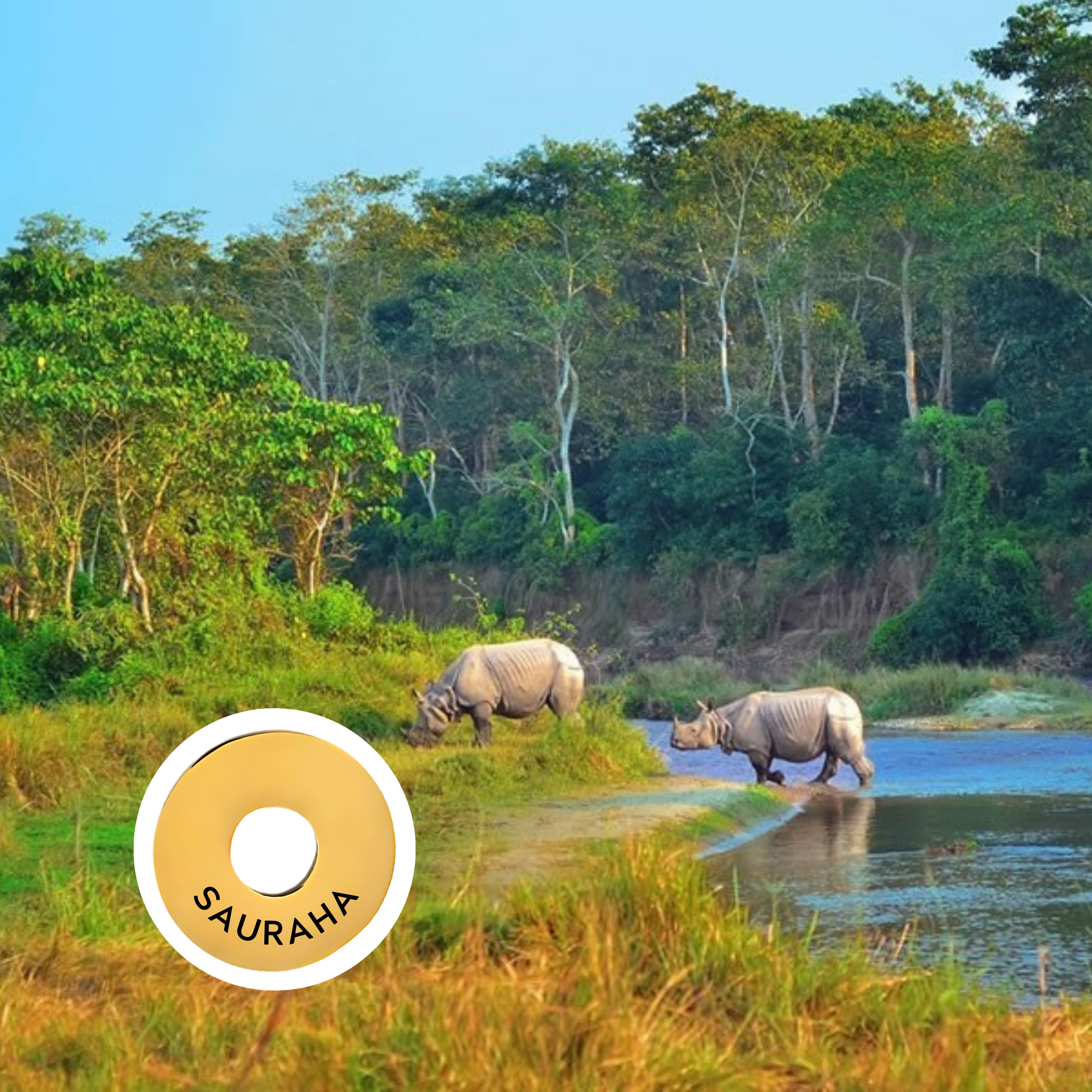Sauraha